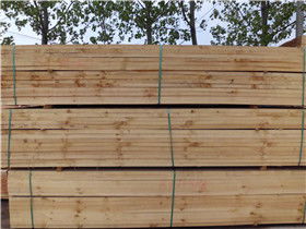 日照市岚山区博通木业 聚焦木材加工，打造区域产业新标杆