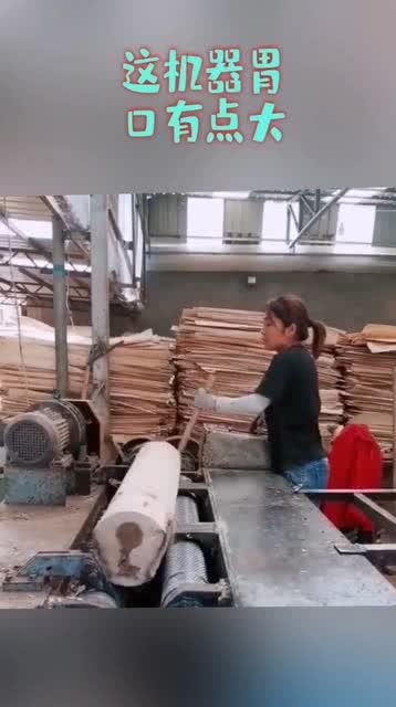 木材加工厂的“大胃王” 高效自动化设备的双刃剑