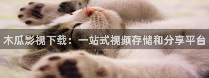 长乐曲金牌影院在线观看：木瓜影视下载：一站式视频存储和分享平台
