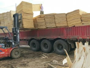 江苏徐州丰县苏宁木业厂家直销 优质木材加工与批发服务