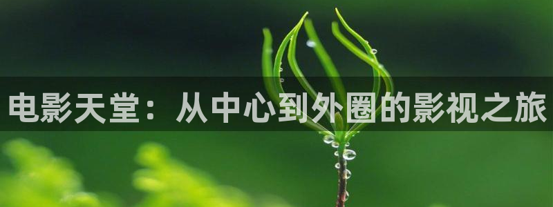 金牌电影免费观看：电影天堂：从中心到外圈的影视之旅