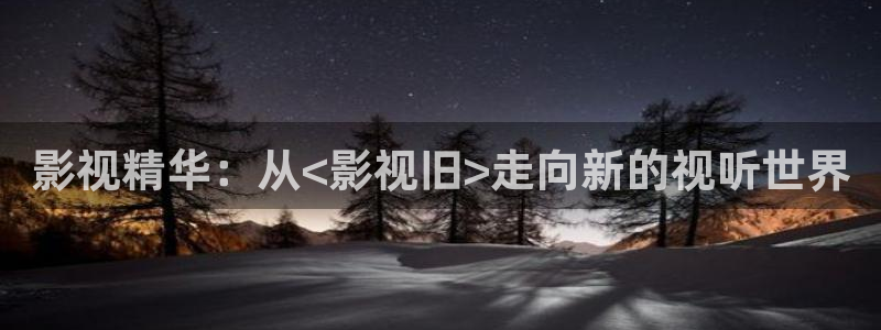 金牌特勤队 电影：影视精华：从<影视旧>走向新的视听世界