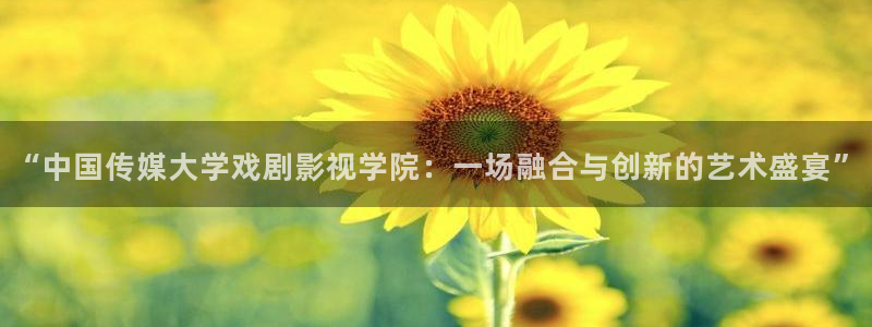 金牌影院看电视剧免费吗：“中国传媒大学戏剧影视学院：一场融合与创新的艺术盛宴”