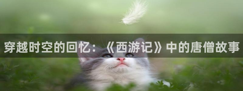 金牌荣耀电影韩国免费观看：穿越时空的回忆：《西游记》中的唐僧故事