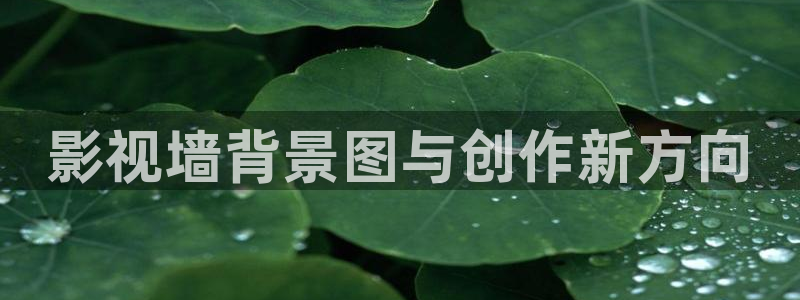 金牌女王电影完整版在线观看：影视墙背景图与创作新方向