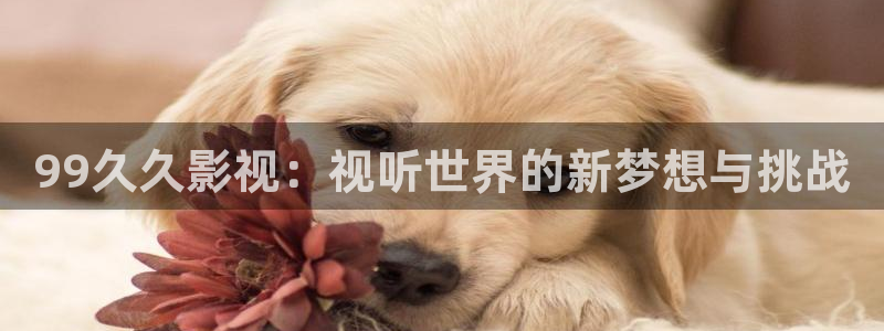 金牌荣耀电影韩国免费观看：99久久影视：视听世界的新梦想与挑战