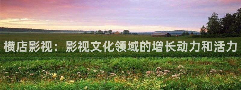 金牌影视电视剧在线观看：横店影视：影视文化领域的增长动力和活力