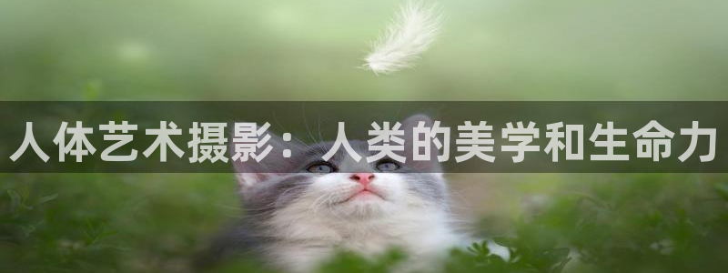 金牌女王电影免费观看：人体艺术摄影：人类的美学和生命力
