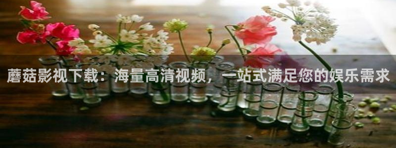金牌影院影视：蘑菇影视下载：海量高清视频，一站式满足您的娱乐需求