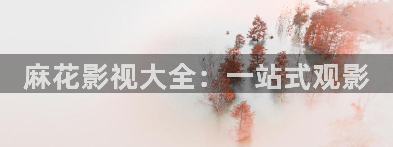 金牌影院免费官网：麻花影视大全：一站式观影